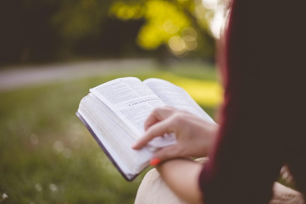 book, college, education, girl, literature, outdoors, paper, park, people, relaxation, summer, woman, reading, study, student, brown book, brown books, brown education, brown paper, brown reading, brown relax, brown study, brown summer, nature, brown park, brown studying