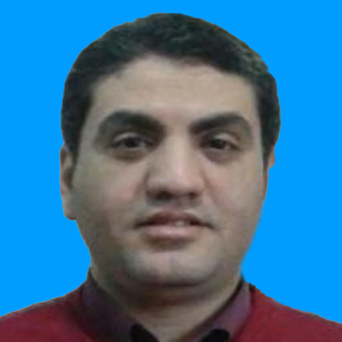 د.  محمد إبراهيم عبدربه